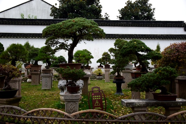 Zhouzheng-Yuan: Garten des bescheidenen Beamten Zhouzheng-Yuan: Garten des bescheidenen Beamten