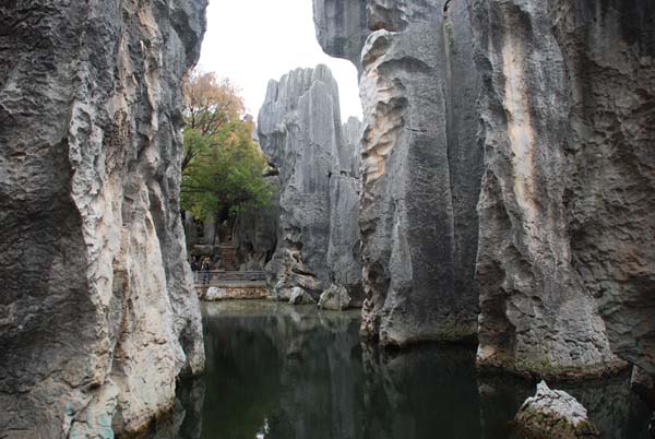 Steinwald Shilin bei Kunming